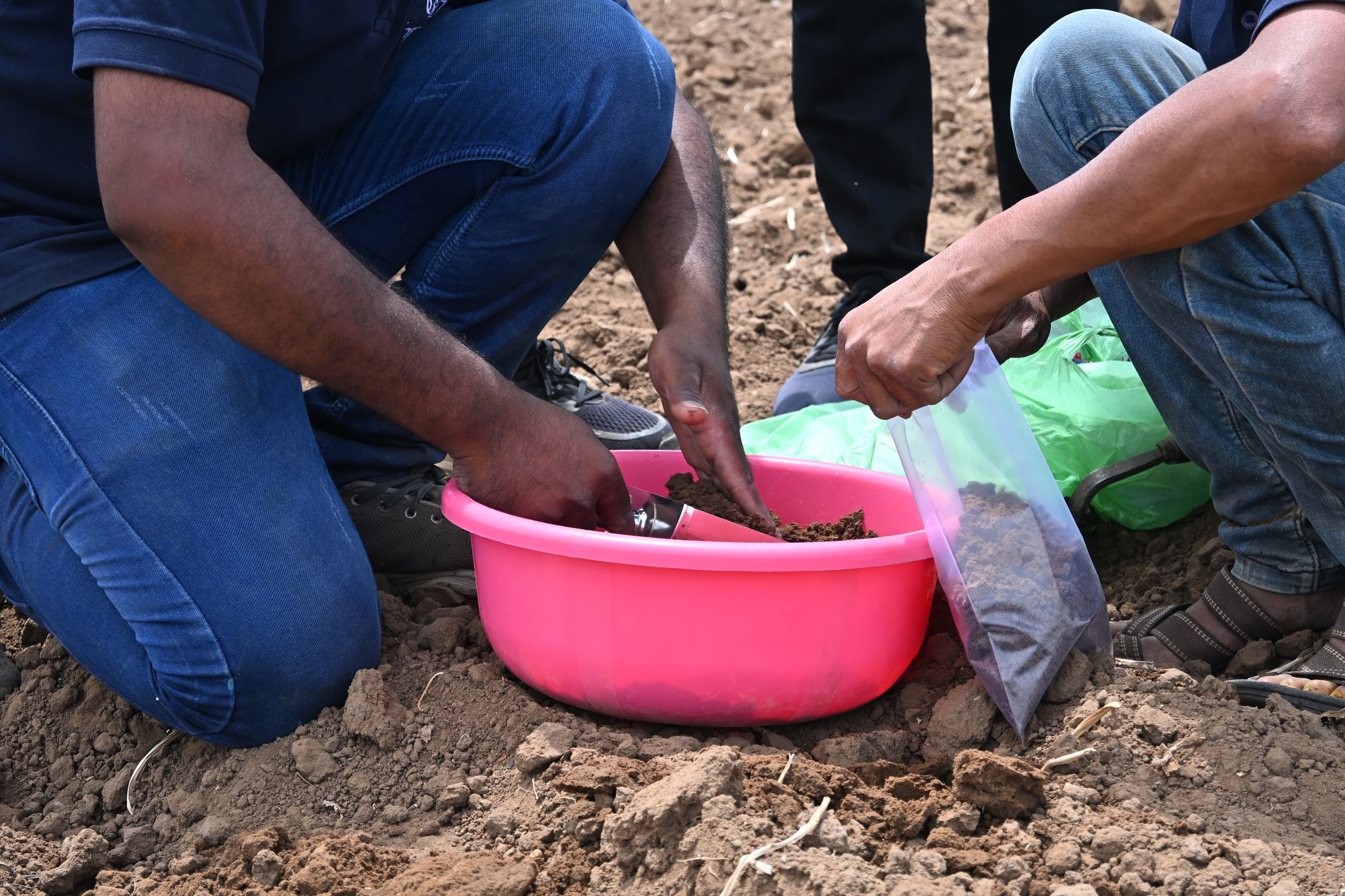 Field Sample Collection & Lab Testing field workflow